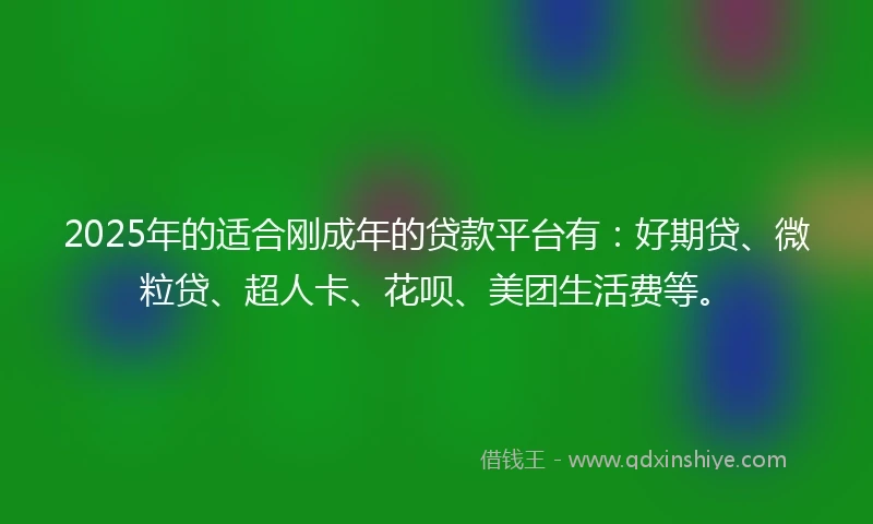 2025年的适合刚成年的贷款平台有：好期贷、微粒贷、超人卡、花呗、美团生活费等。