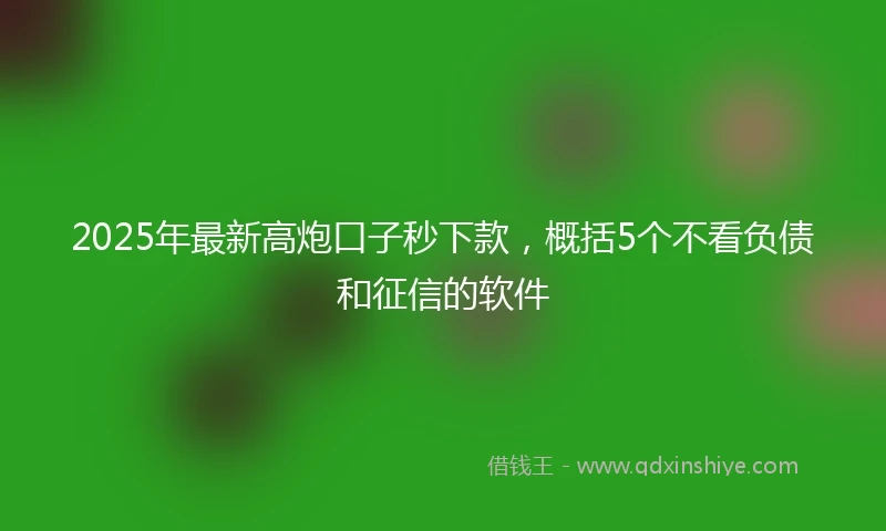 2025年最新高炮口子秒下款，概括5个不看负债和征信的软件