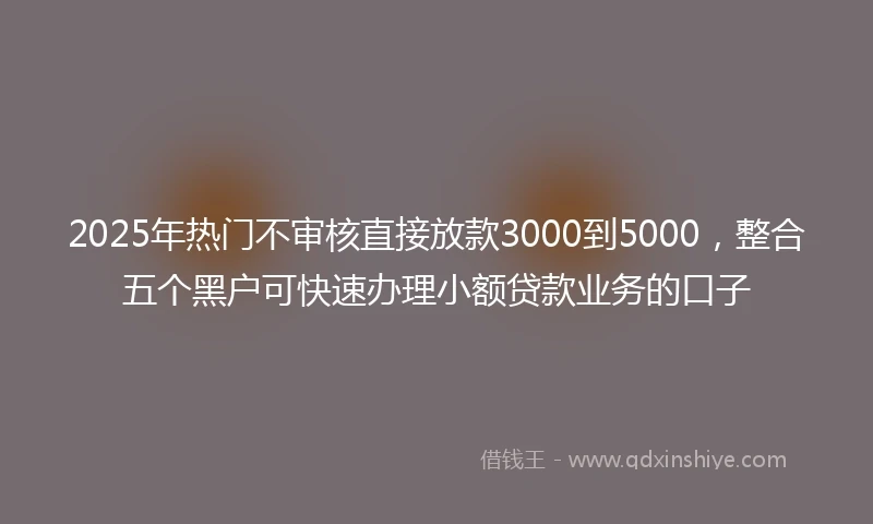 2025年热门不审核直接放款3000到5000，整合五个黑户可快速办理小额贷款业务的口子