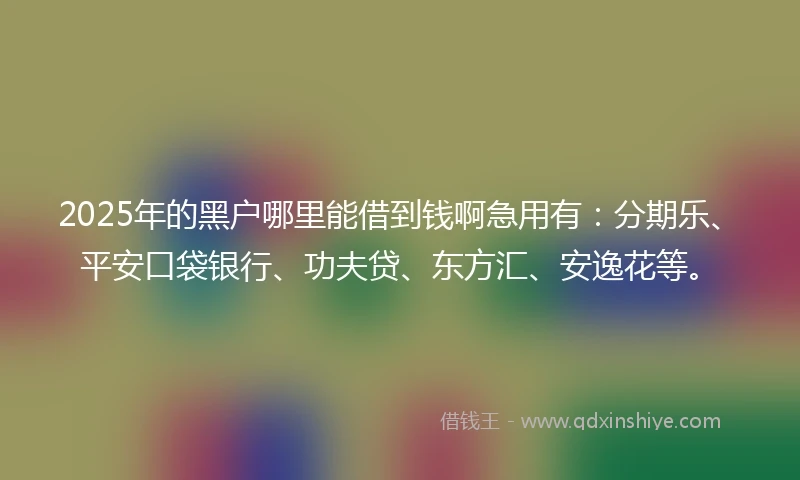 2025年的黑户哪里能借到钱啊急用有：分期乐、平安口袋银行、功夫贷、东方汇、安逸花等。