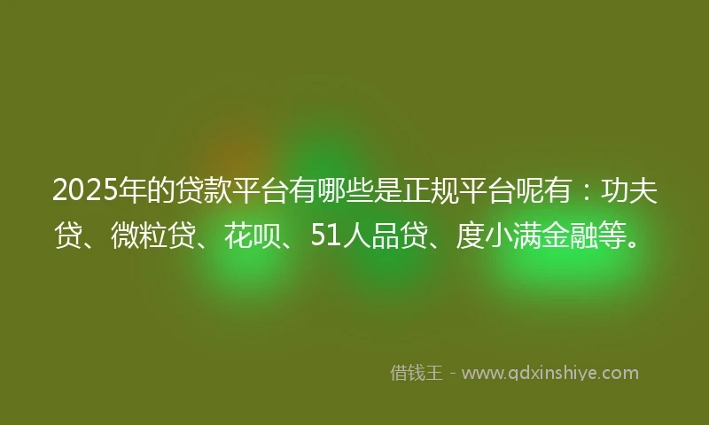 2025年的贷款平台有哪些是正规平台呢有：功夫贷、微粒贷、花呗、51人品贷、度小满金融等。