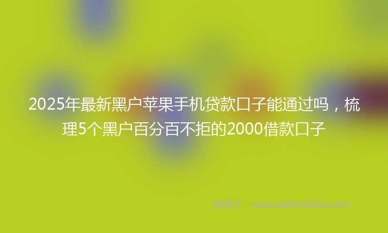 2025年最新黑户苹果手机贷款口子能通过吗，梳理5个黑户百分百不拒的2000借款口子