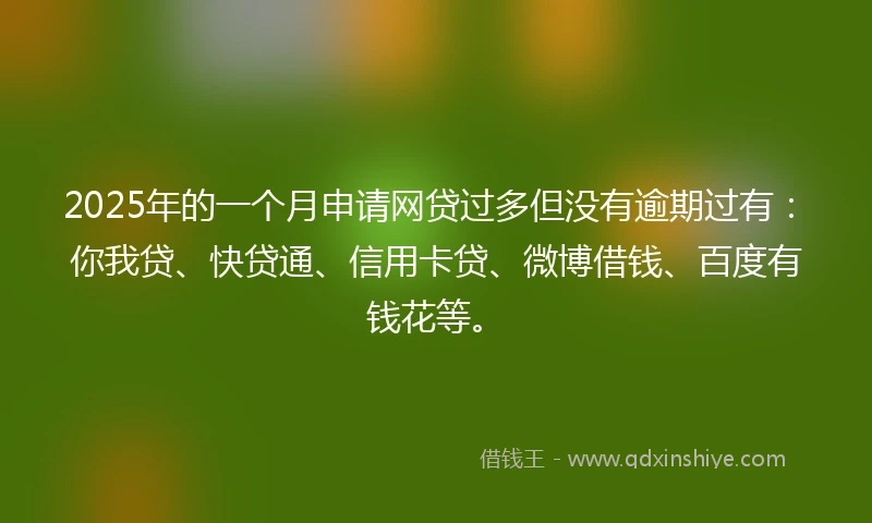 2025年的一个月申请网贷过多但没有逾期过有：你我贷、快贷通、信用卡贷、微博借钱、百度有钱花等。