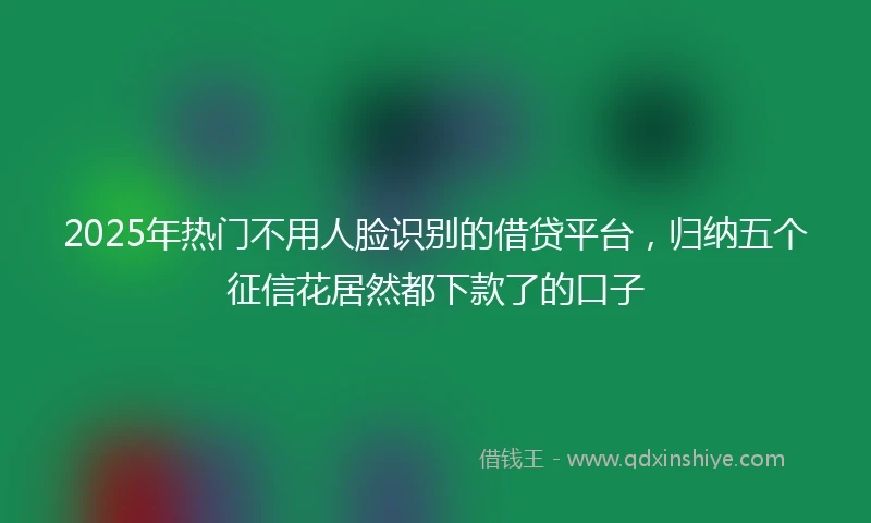 2025年热门不用人脸识别的借贷平台，归纳五个征信花居然都下款了的口子