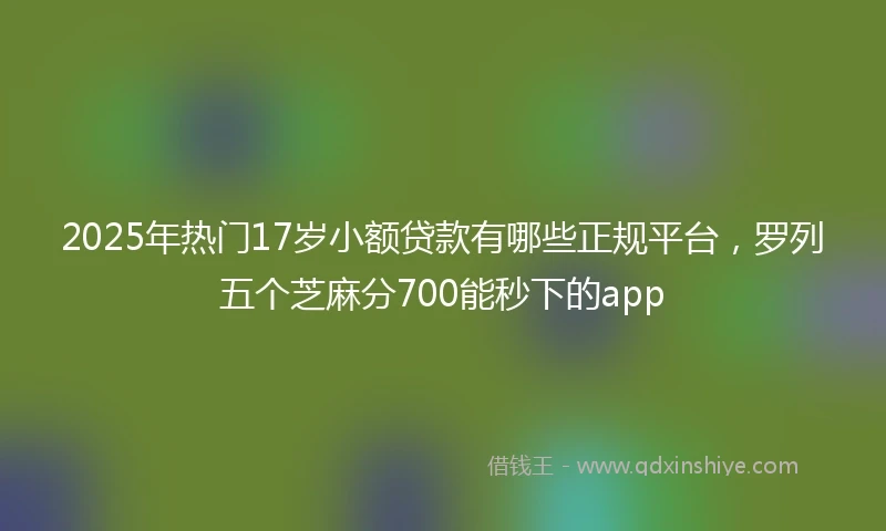 2025年热门17岁小额贷款有哪些正规平台，罗列五个芝麻分700能秒下的app