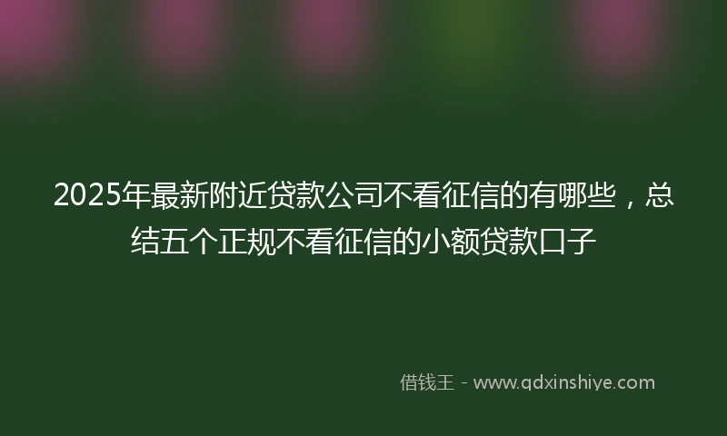 2025年最新附近贷款公司不看征信的有哪些，总结五个正规不看征信的小额贷款口子