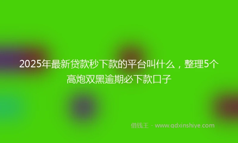 2025年最新贷款秒下款的平台叫什么，整理5个高炮双黑逾期必下款口子