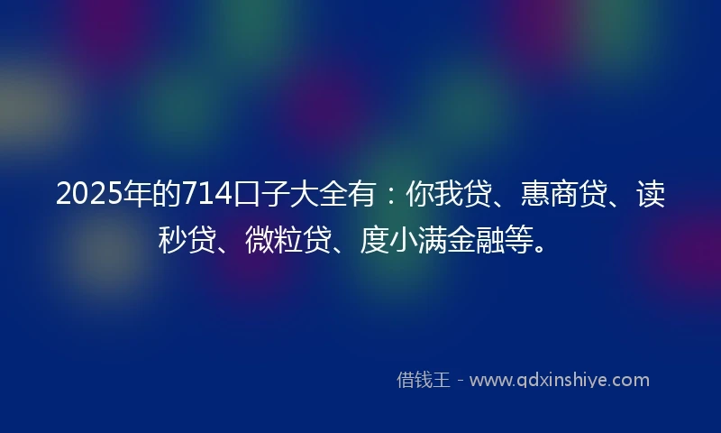 2025年的714口子大全有：你我贷、惠商贷、读秒贷、微粒贷、度小满金融等。