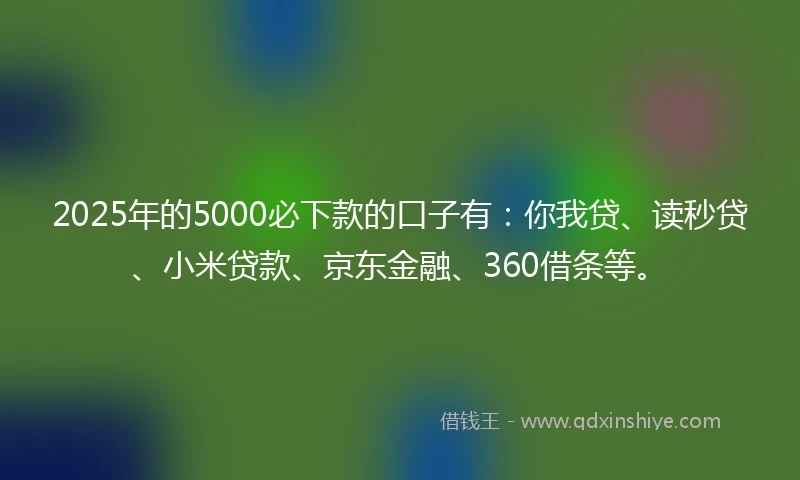 2025年的5000必下款的口子有：你我贷、读秒贷、小米贷款、京东金融、360借条等。