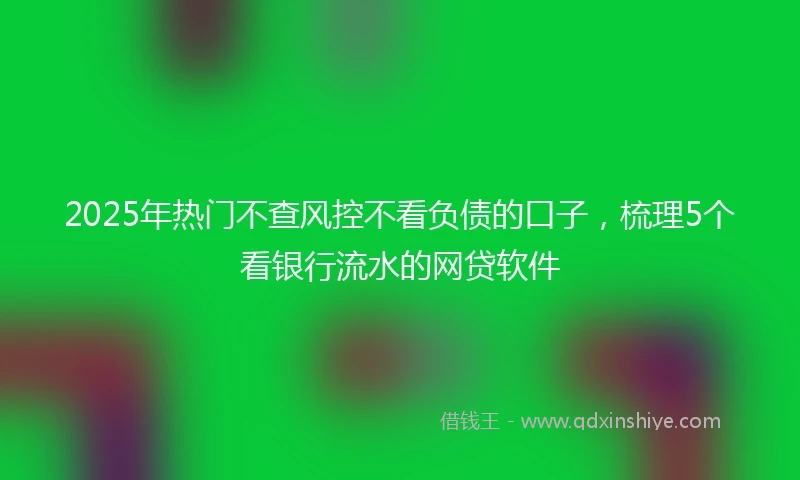 2025年热门不查风控不看负债的口子，梳理5个看银行流水的网贷软件