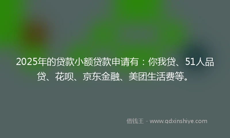 2025年的贷款小额贷款申请有：你我贷、51人品贷、花呗、京东金融、美团生活费等。
