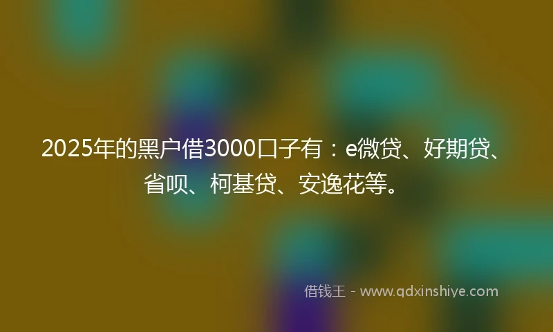 2025年的黑户借3000口子有：e微贷、好期贷、省呗、柯基贷、安逸花等。