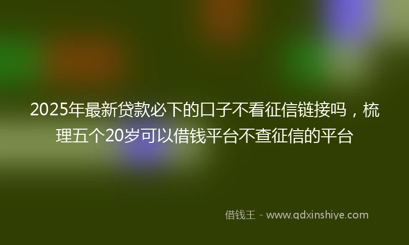 2025年最新贷款必下的口子不看征信链接吗，梳理五个20岁可以借钱平台不查征信的平台