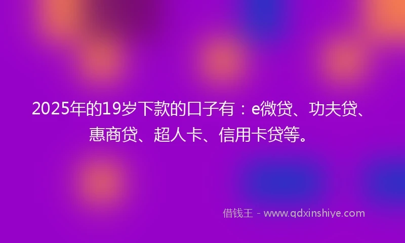 2025年的19岁下款的口子有：e微贷、功夫贷、惠商贷、超人卡、信用卡贷等。