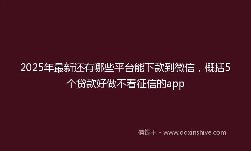 2025年最新还有哪些平台能下款到微信，概括5个贷款好做不看征信的app