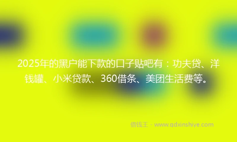 2025年的黑户能下款的口子贴吧有：功夫贷、洋钱罐、小米贷款、360借条、美团生活费等。
