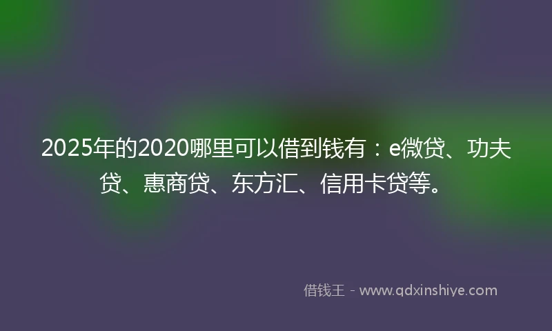 2025年的2020哪里可以借到钱有：e微贷、功夫贷、惠商贷、东方汇、信用卡贷等。