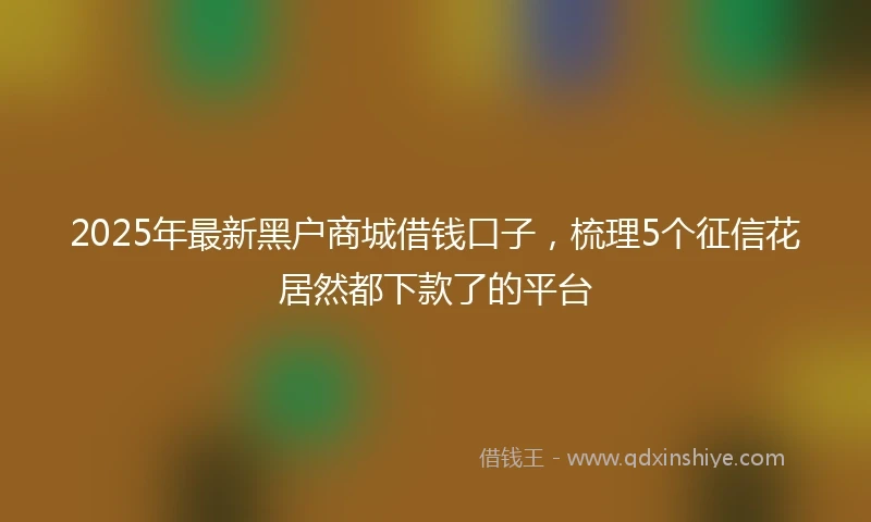 2025年最新黑户商城借钱口子，梳理5个征信花居然都下款了的平台