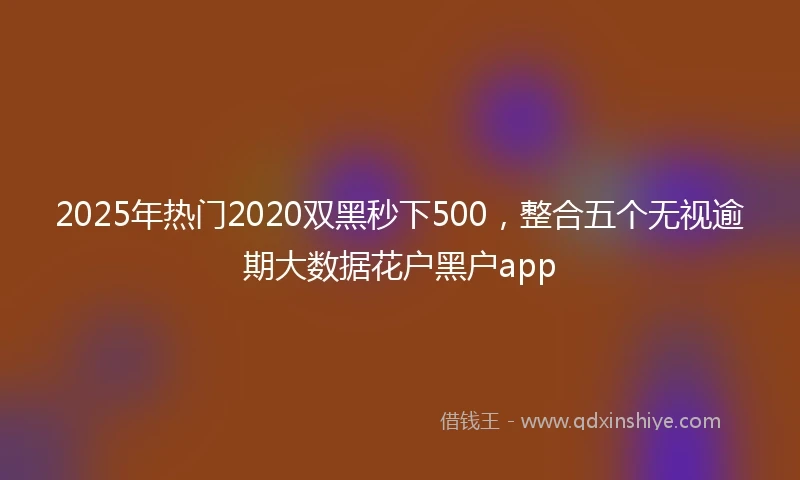 2025年热门2020双黑秒下500，整合五个无视逾期大数据花户黑户app