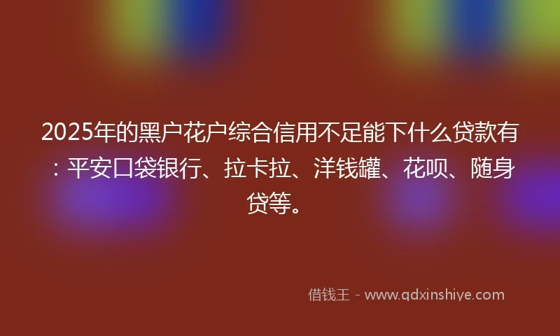 2025年的黑户花户综合信用不足能下什么贷款有：平安口袋银行、拉卡拉、洋钱罐、花呗、随身贷等。