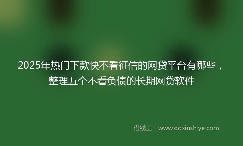 2025年热门下款快不看征信的网贷平台有哪些，整理五个不看负债的长期网贷软件
