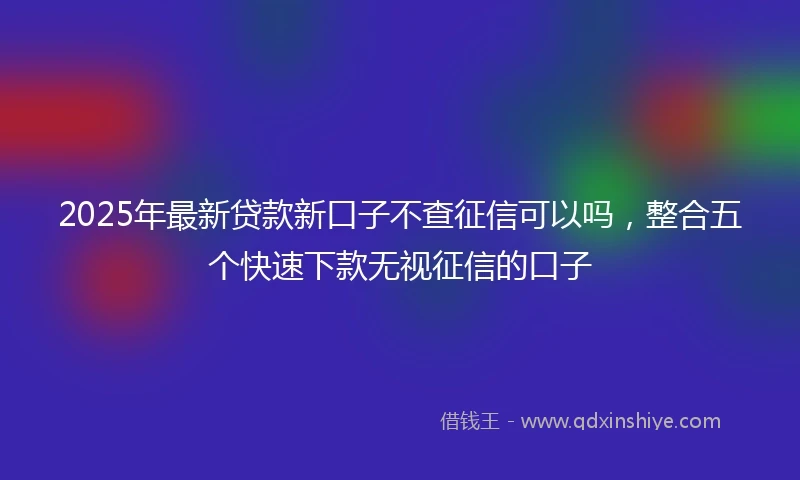 2025年最新贷款新口子不查征信可以吗，整合五个快速下款无视征信的口子