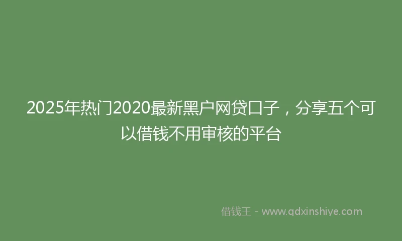 2025年热门2020最新黑户网贷口子，分享五个可以借钱不用审核的平台