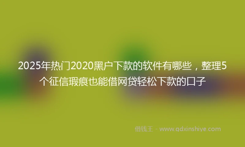 2025年热门2020黑户下款的软件有哪些，整理5个征信瑕疵也能借网贷轻松下款的口子