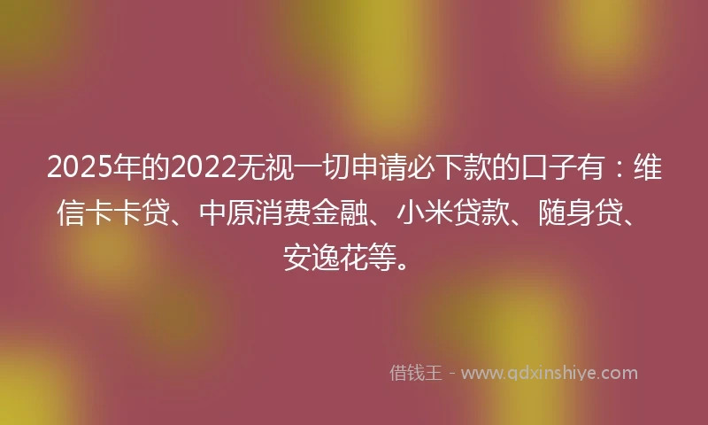 2025年的2022无视一切申请必下款的口子有：维信卡卡贷、中原消费金融、小米贷款、随身贷、安逸花等。