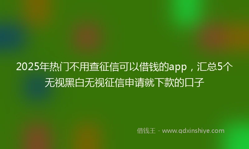 2025年热门不用查征信可以借钱的app，汇总5个无视黑白无视征信申请就下款的口子