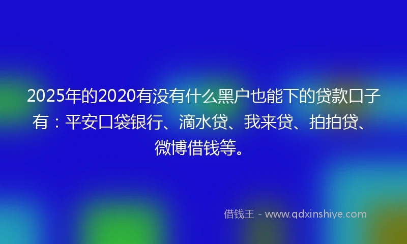 2025年的2020有没有什么黑户也能下的贷款口子有：平安口袋银行、滴水贷、我来贷、拍拍贷、微博借钱等。