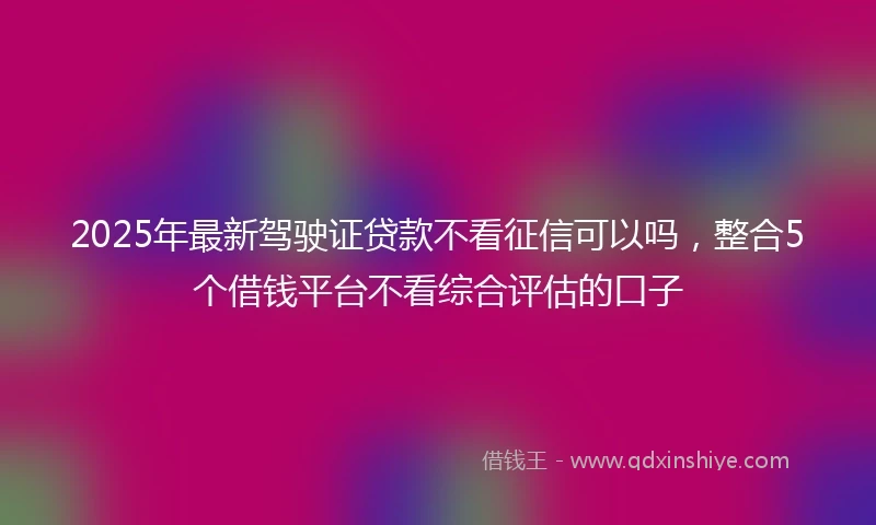 2025年最新驾驶证贷款不看征信可以吗，整合5个借钱平台不看综合评估的口子