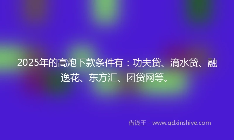 2025年的高炮下款条件有：功夫贷、滴水贷、融逸花、东方汇、团贷网等。