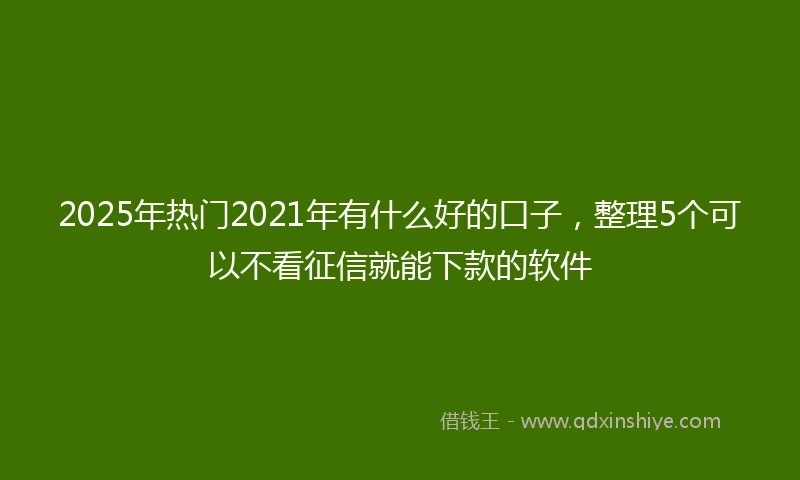 2025年热门2021年有什么好的口子，整理5个可以不看征信就能下款的软件