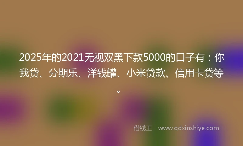 2025年的2021无视双黑下款5000的口子有：你我贷、分期乐、洋钱罐、小米贷款、信用卡贷等。