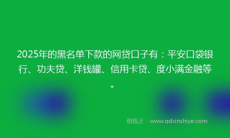 2025年的黑名单下款的网贷口子有：平安口袋银行、功夫贷、洋钱罐、信用卡贷、度小满金融等。
