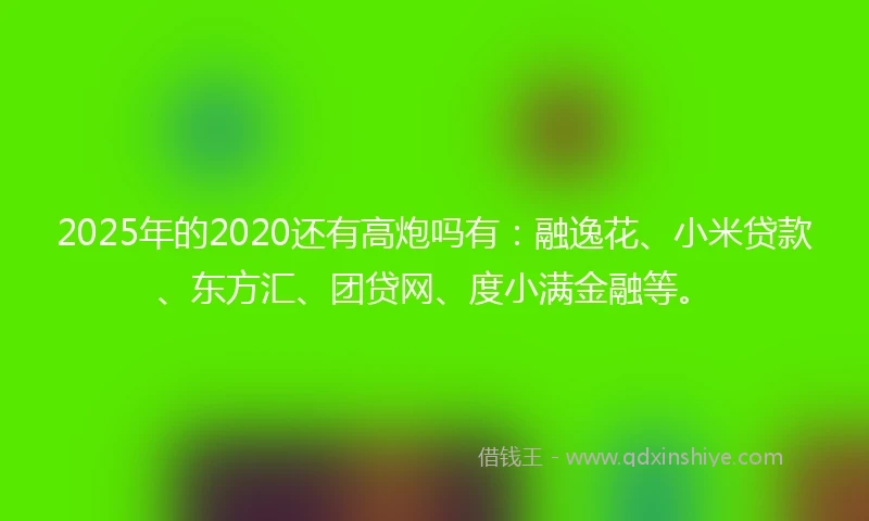 2025年的2020还有高炮吗有：融逸花、小米贷款、东方汇、团贷网、度小满金融等。