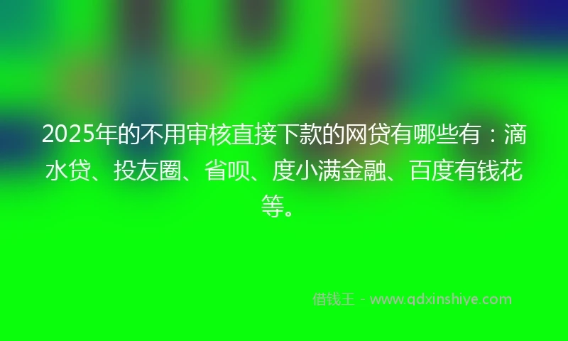 2025年的不用审核直接下款的网贷有哪些有：滴水贷、投友圈、省呗、度小满金融、百度有钱花等。