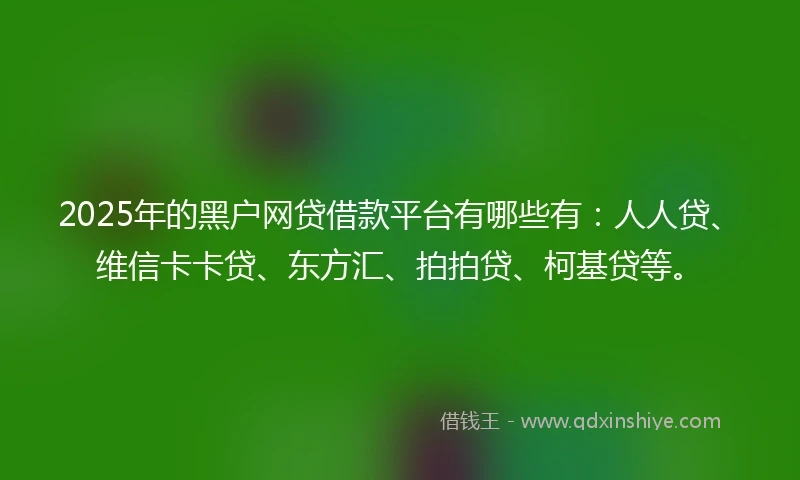 2025年的黑户网贷借款平台有哪些有：人人贷、维信卡卡贷、东方汇、拍拍贷、柯基贷等。