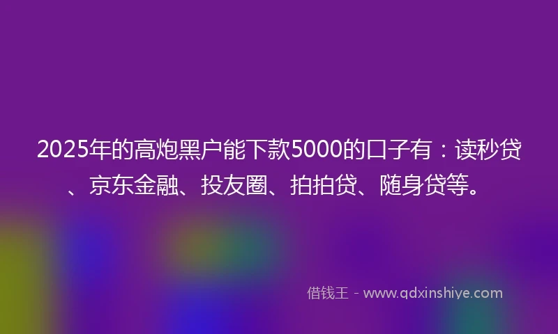 2025年的高炮黑户能下款5000的口子有：读秒贷、京东金融、投友圈、拍拍贷、随身贷等。