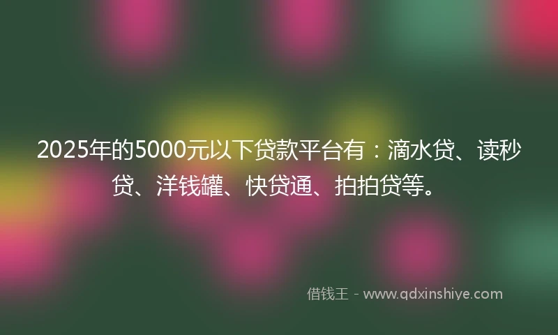 2025年的5000元以下贷款平台有：滴水贷、读秒贷、洋钱罐、快贷通、拍拍贷等。