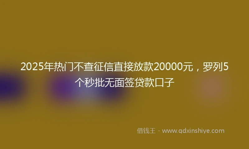 2025年热门不查征信直接放款20000元，罗列5个秒批无面签贷款口子