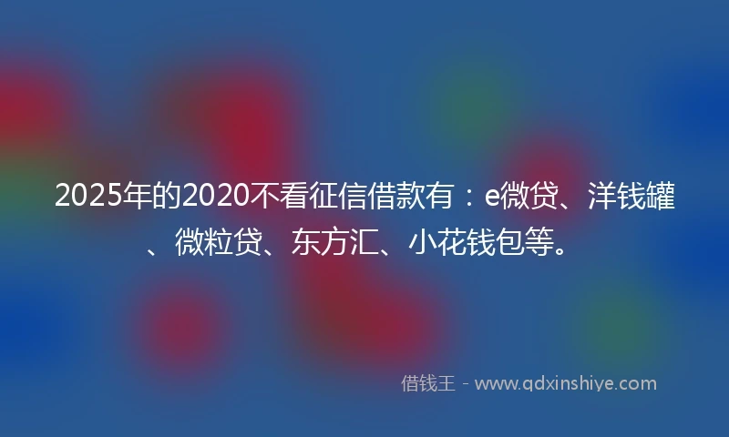 2025年的2020不看征信借款有：e微贷、洋钱罐、微粒贷、东方汇、小花钱包等。