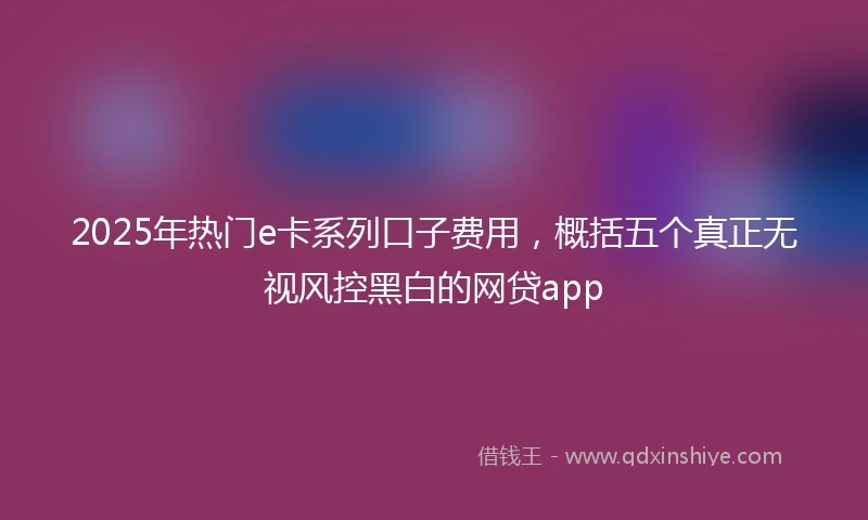 2025年热门e卡系列口子费用，概括五个真正无视风控黑白的网贷app