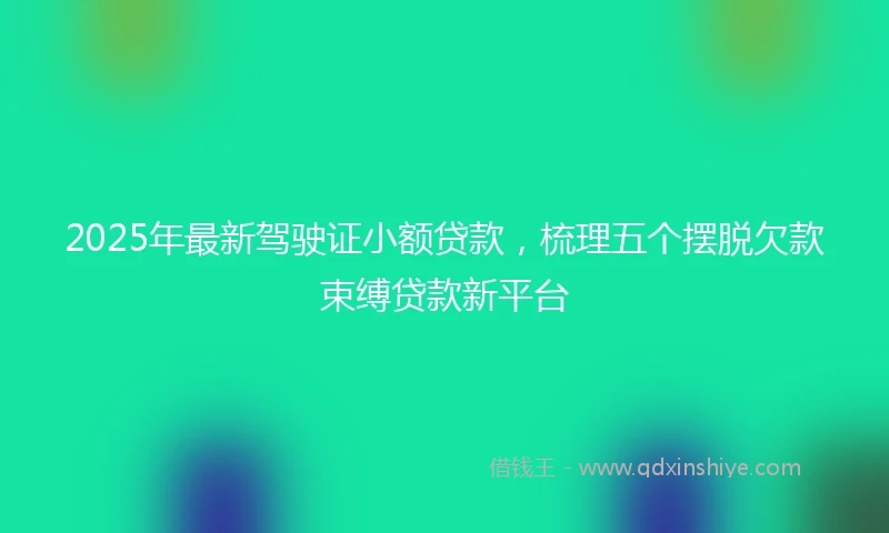 2025年最新驾驶证小额贷款，梳理五个摆脱欠款束缚贷款新平台