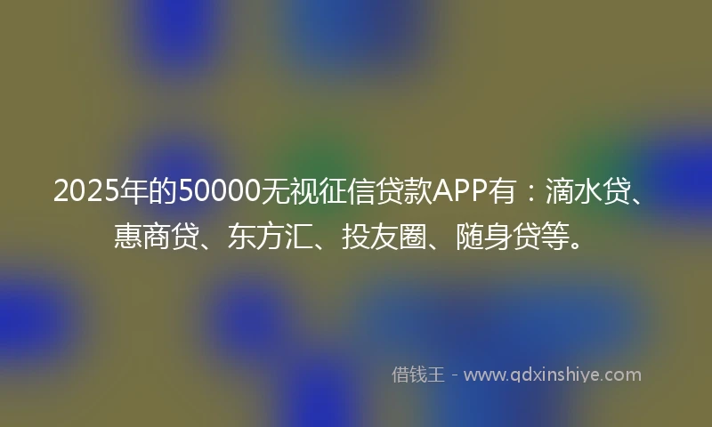 2025年的50000无视征信贷款APP有：滴水贷、惠商贷、东方汇、投友圈、随身贷等。