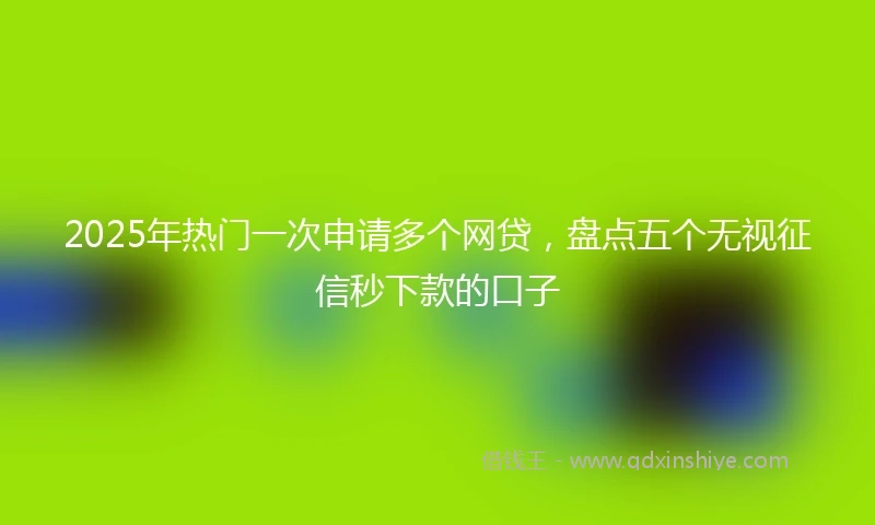 2025年热门一次申请多个网贷，盘点五个无视征信秒下款的口子