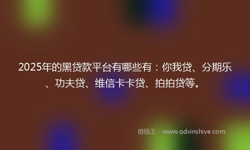 2025年的黑贷款平台有哪些有：你我贷、分期乐、功夫贷、维信卡卡贷、拍拍贷等。