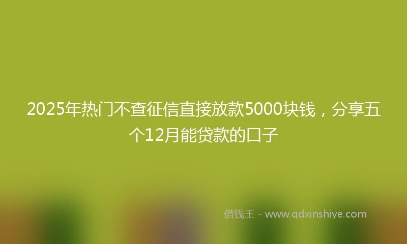 2025年热门不查征信直接放款5000块钱，分享五个12月能贷款的口子