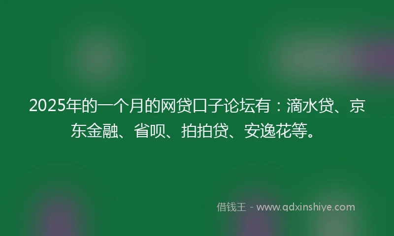 2025年的一个月的网贷口子论坛有：滴水贷、京东金融、省呗、拍拍贷、安逸花等。